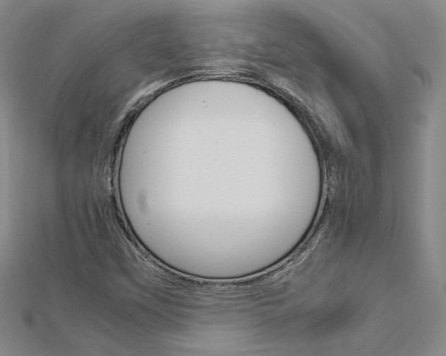 X0000113031451200908271045