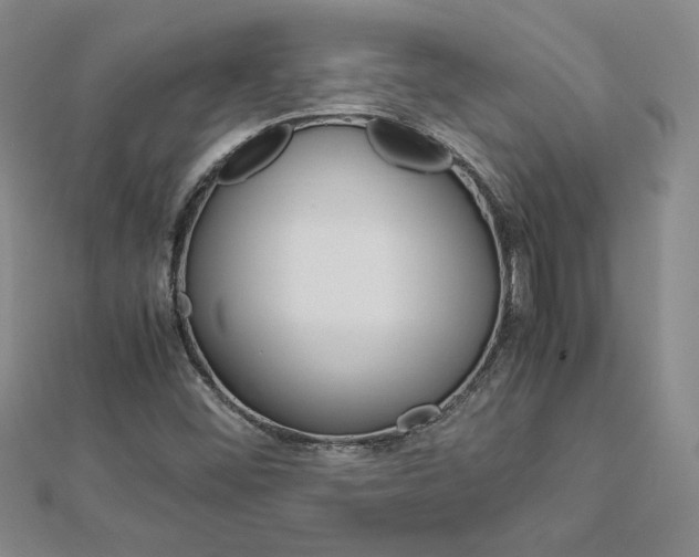 X0000113031452200908271045