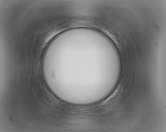 X0000113031453200908271045