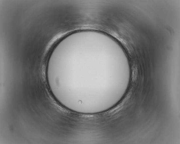 X0000113031454200908271044
