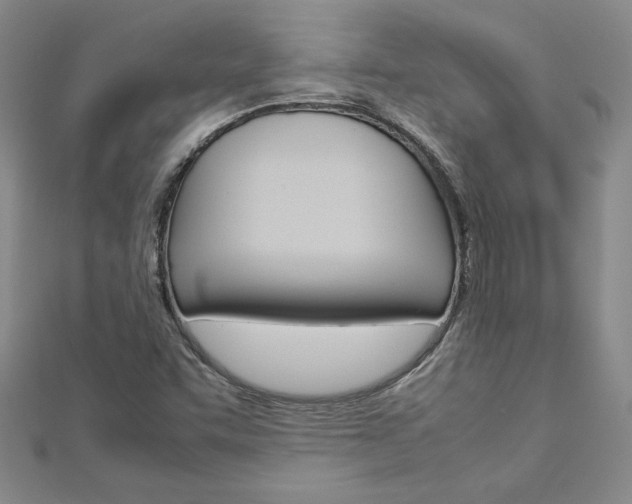 X0000113031455200908271044
