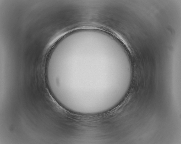 X0000113031456200908271044