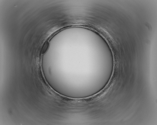 X0000113031457200908271044