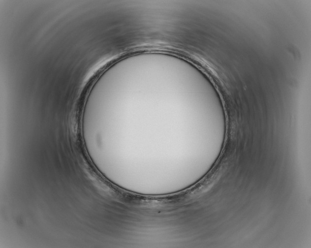X0000113031458200908271044