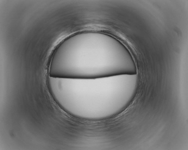 X0000113031459200908271044
