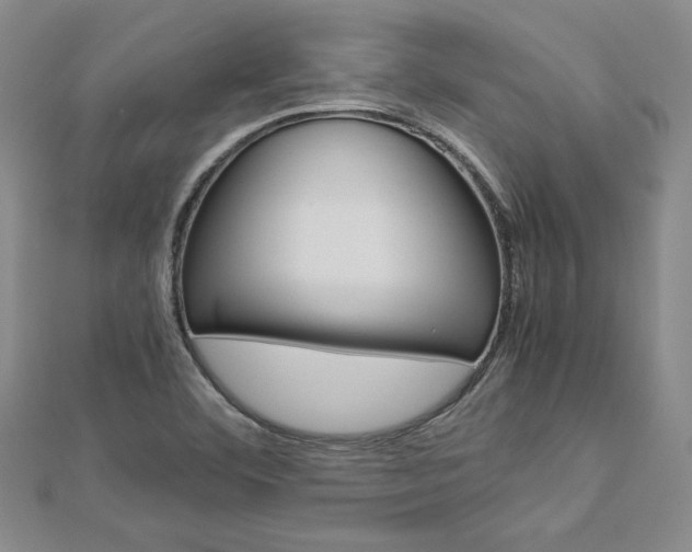 X0000113031460200908271044