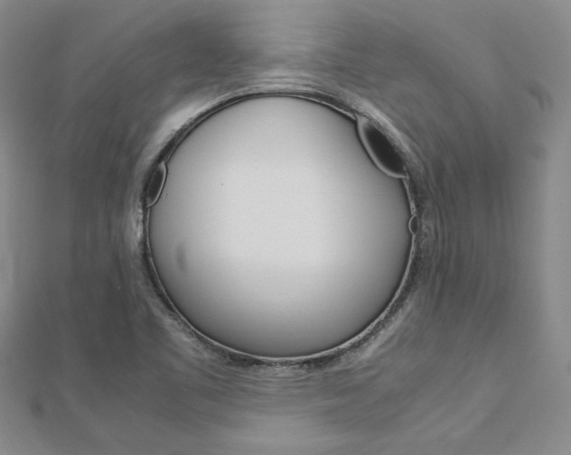 X0000113031461200908271044