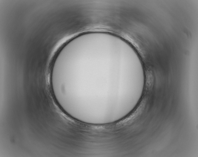 X0000113031462200908271044