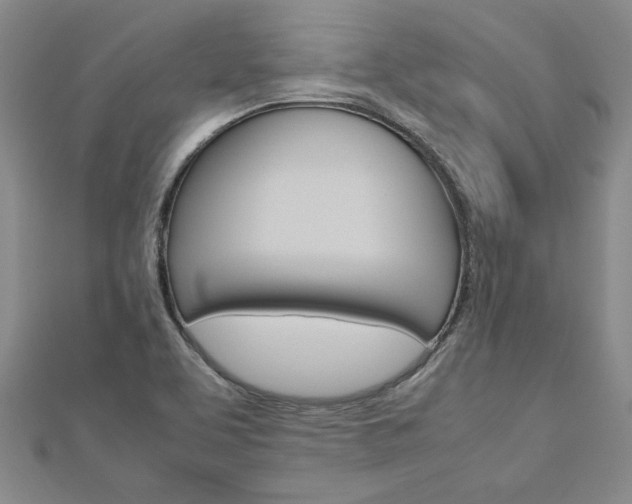 X0000113031463200908271044