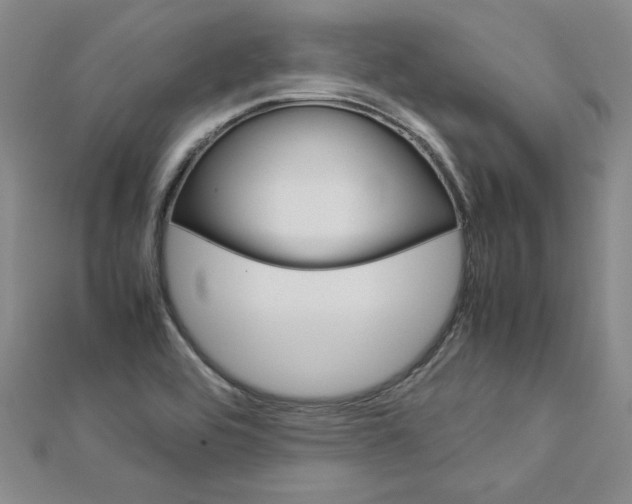 X0000113031464200908271044
