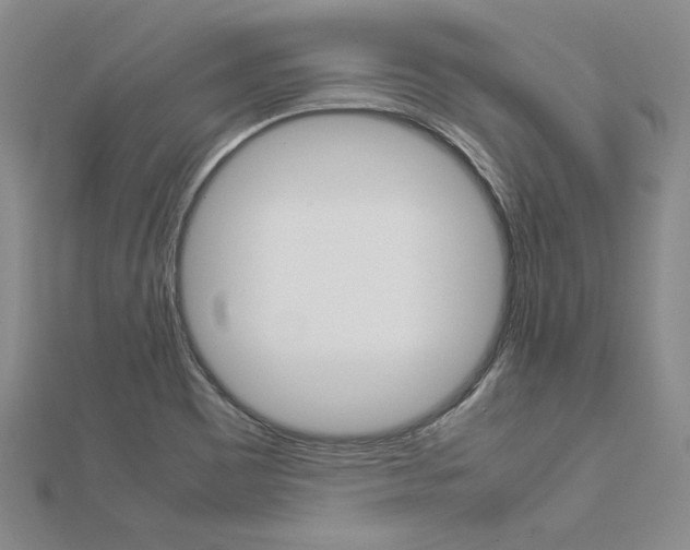 X0000113031465200908271044