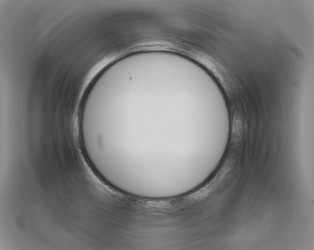 X0000113031466200908271044