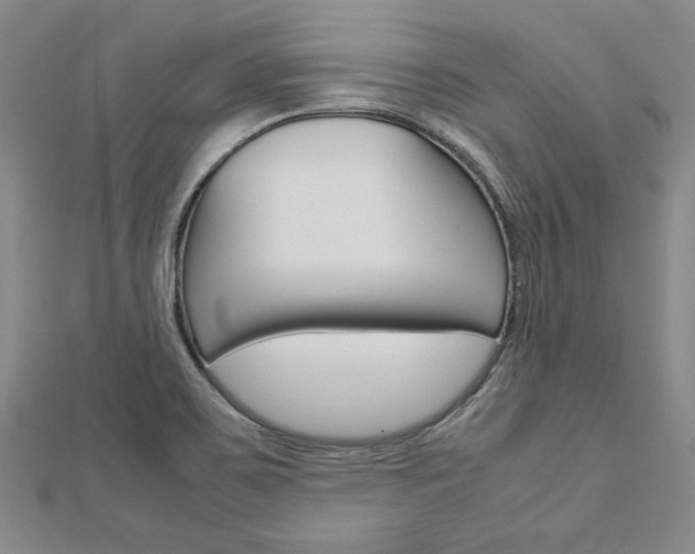 X0000113031467200908271044