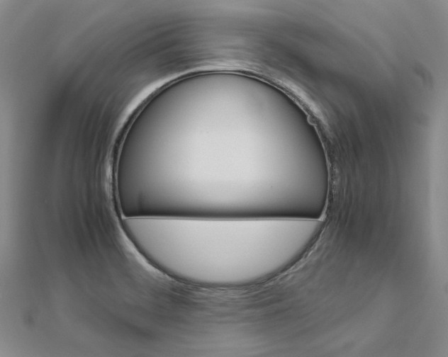 X0000113031468200908271044