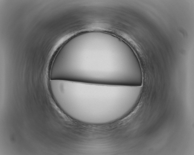 X0000113031469200908271044