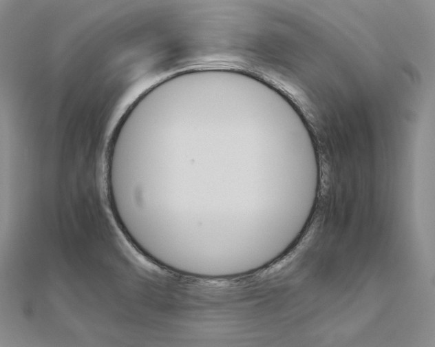 X0000113031470200908271044