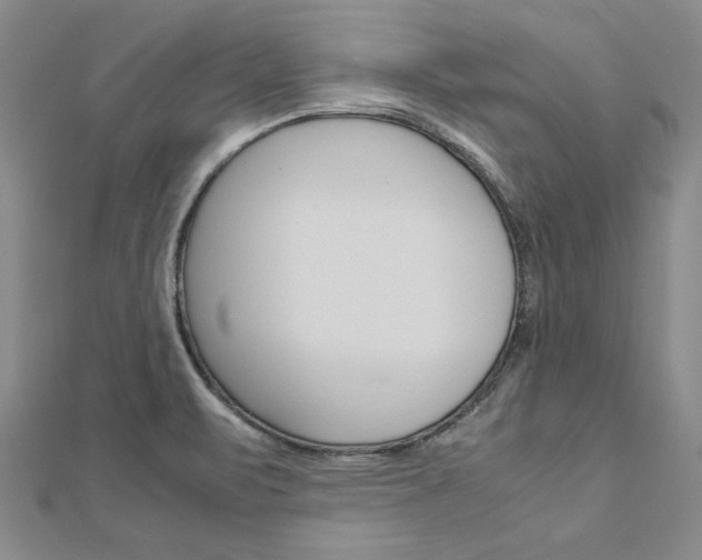 X0000113031471200908271044