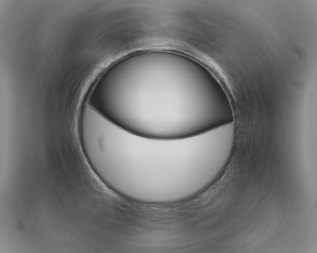 X0000113031472200908271044