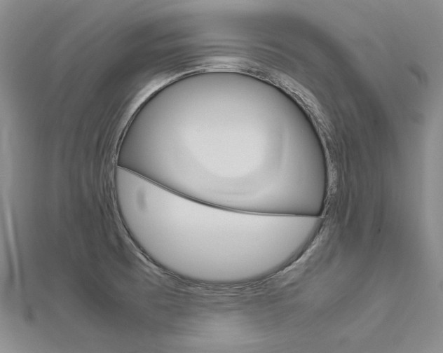 X0000113031473200908271044