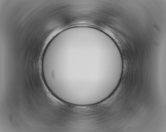 X0000113031474200908271044
