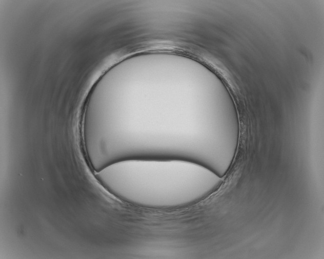 X0000113031475200908271044