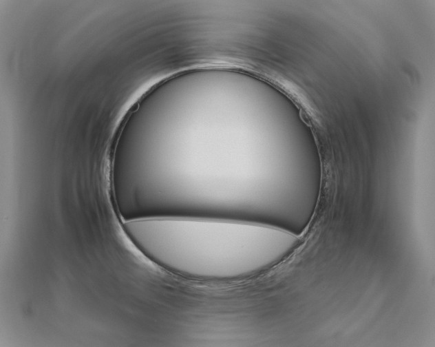 X0000113031476200908271044