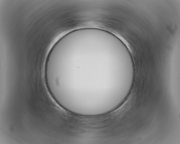 X0000113031477200908271044