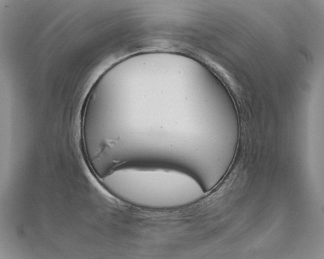 X0000113031479200908271044