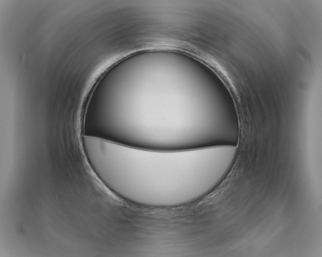 X0000113031480200908271044