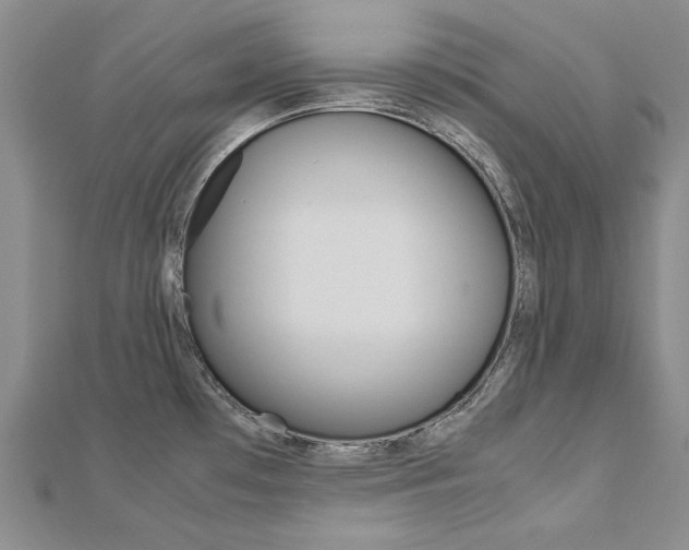 X0000113031481200908271044