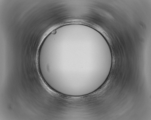 X0000113031482200908271044