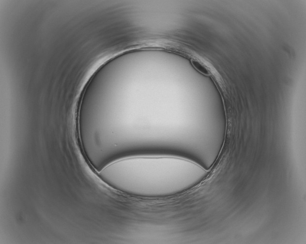 X0000113031483200908271044