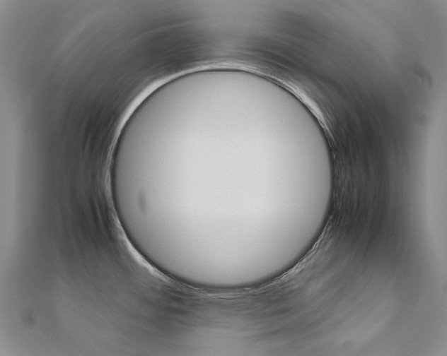 X0000113031484200908271044