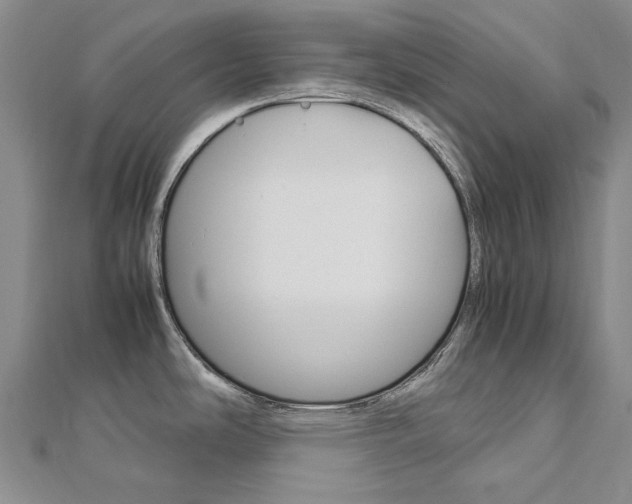 X0000113031486200908271044