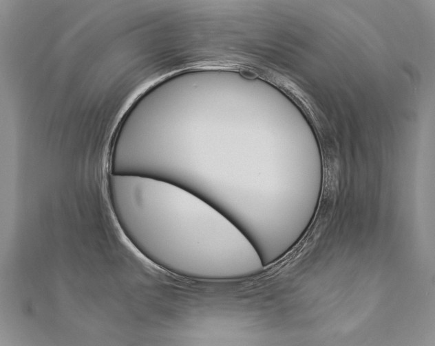 X0000113031487200908271044