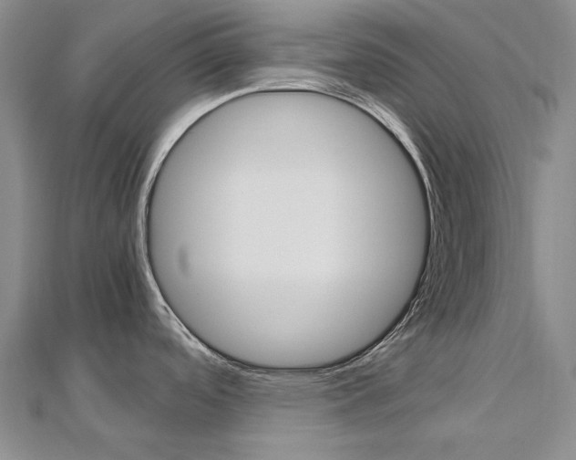 X0000113031488200908271044