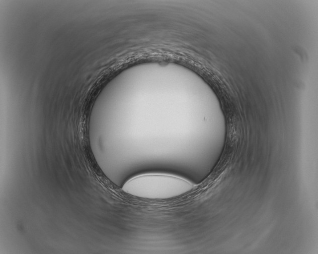 X0000113031490200908271043