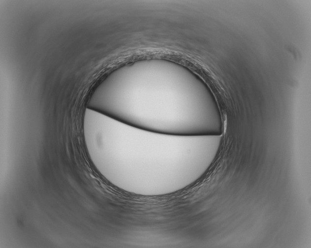 X0000113031492200908271043