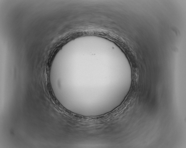 X0000113031493200908271044
