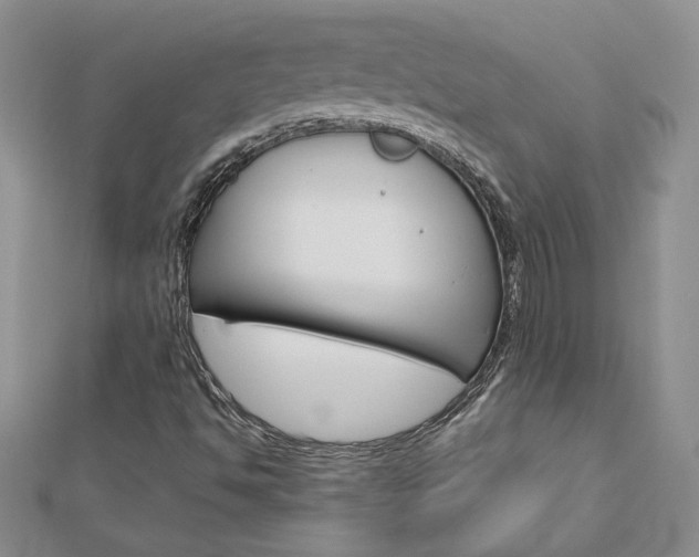 X0000113031494200908271044
