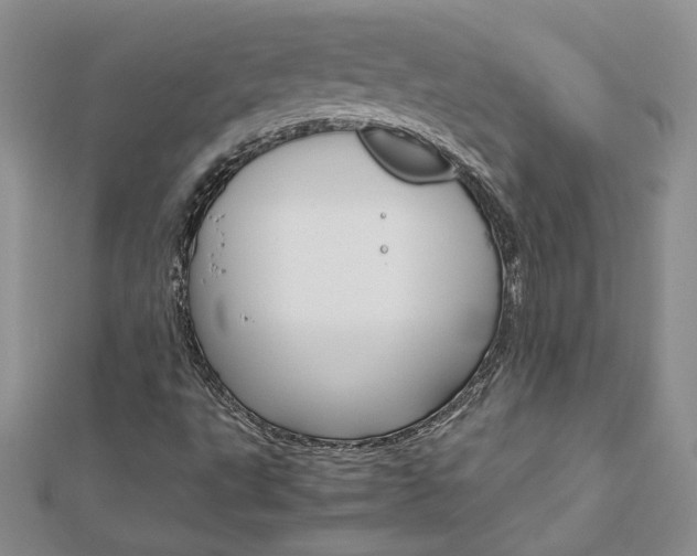X0000113031495200908271044