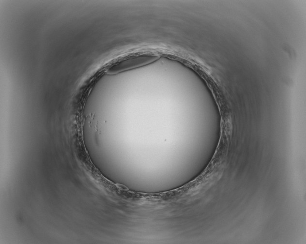 X0000113031496200908271044