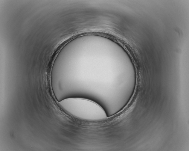X0000113031497200908271044