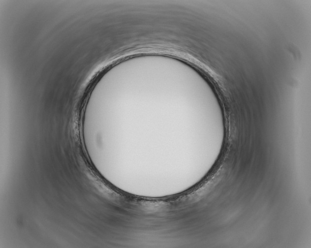 X0000113031498200908271044