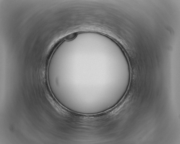 X0000113031499200908271044