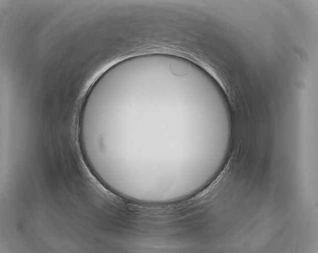 X0000113031500200908271044