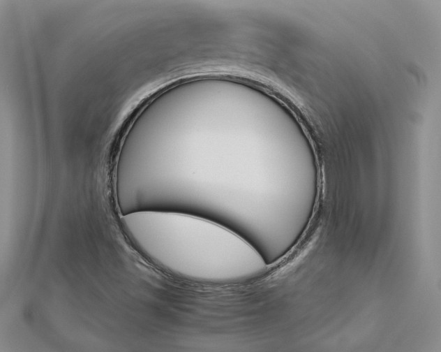 X0000113031501200908271044