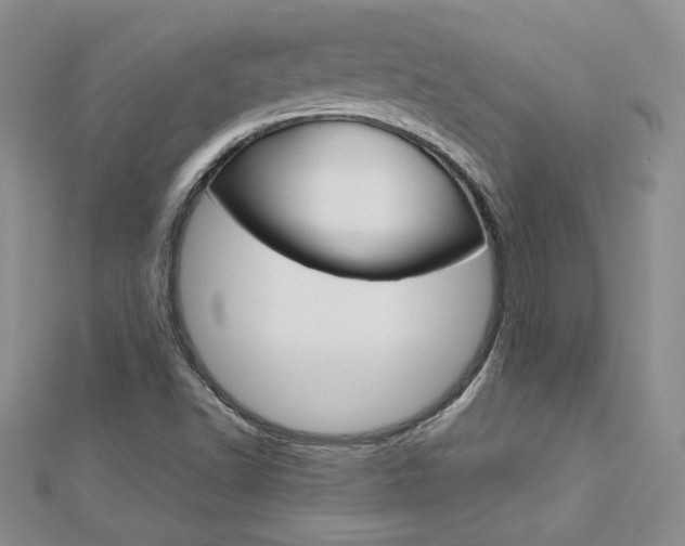 X0000113031502200908271044