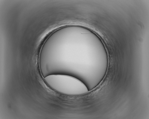 X0000113031503200908271044