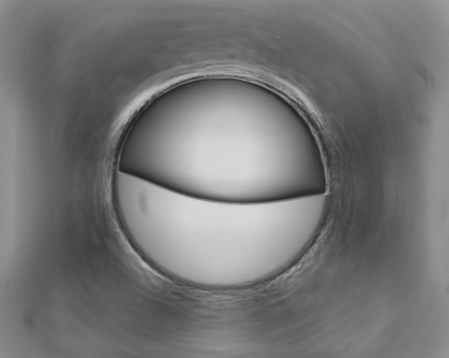 X0000113031504200908271044